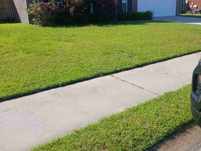 Lawn Care service in Saint Simons Island, 31522