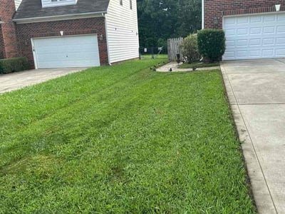 Lawn Care service in Fort Mill, 29715