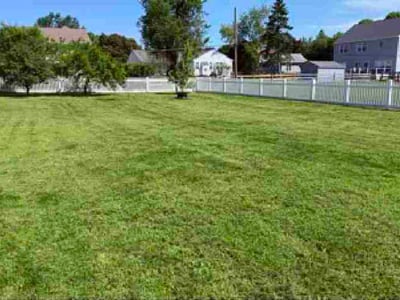 Lawn Care service in Havertown, 19083