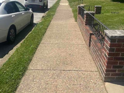 Lawn Care service in Havertown, 19083