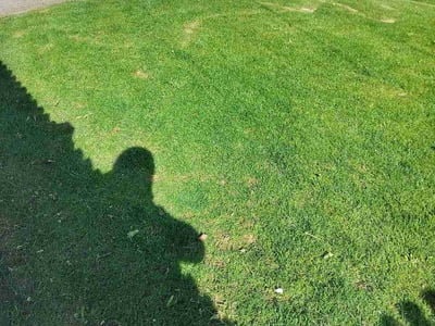 Lawn Care service in Arlington, 98223