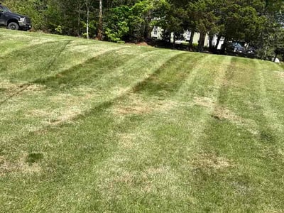 Lawn Care service in Westport, 02790