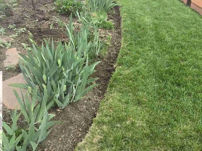 Lawn Care service in Grand Junction, 81501