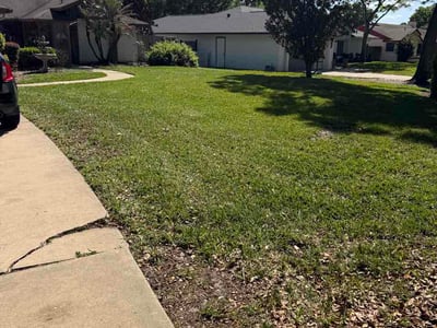 Lawn Care service in Windermere, 34786