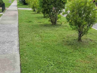 Lawn Care service in Umatilla, 32784