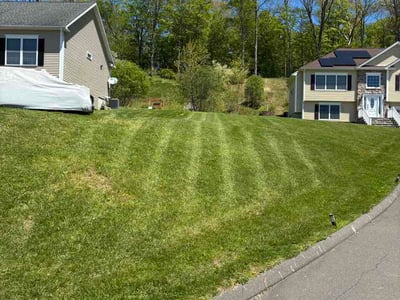 Lawn Care service in Waterbury, 06710