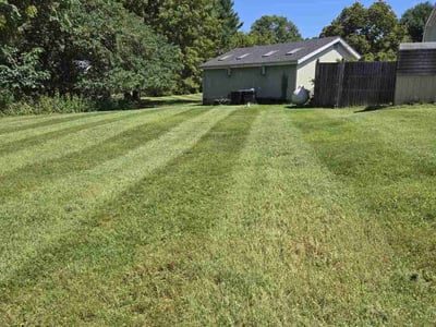 Lawn Care service in Potomac, 20036