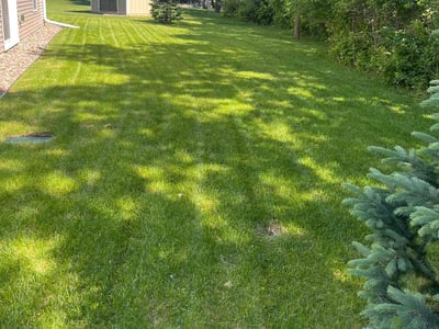 Lawn Care service in Inver Grove Heights, 55076