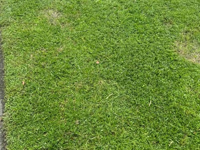 Lawn Care service in Davie, 33328
