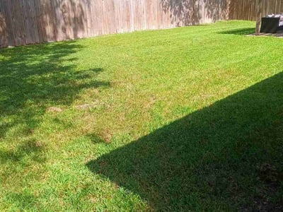 Lawn Care service in League City, 77573