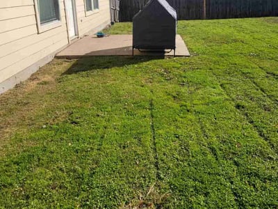Lawn Care service in Cambridge, 02138