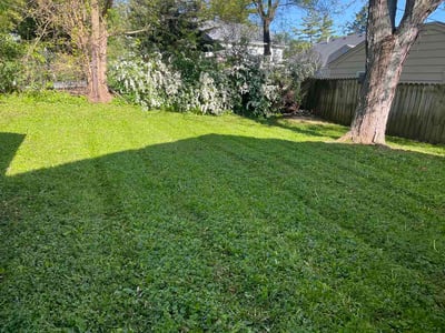 Lawn Care service in Gurnee, 60031