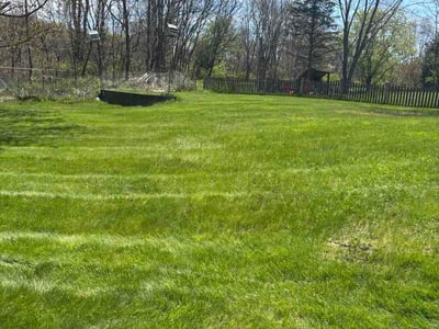 Lawn Care service in Shrewsbury, 01545