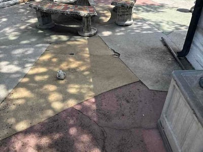Leaf Removal service in Zephyrhills, 33542