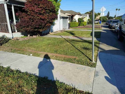 Lawn Care service in Alameda, 94501