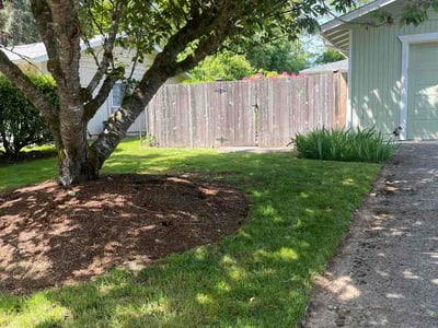 Lawn Care service in Olympia, 98501