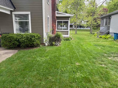 Lawn Care service in Benton Harbor, 49022