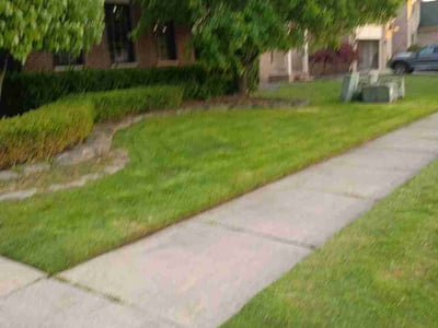 Leaf Removal service in Woodbury, 55125