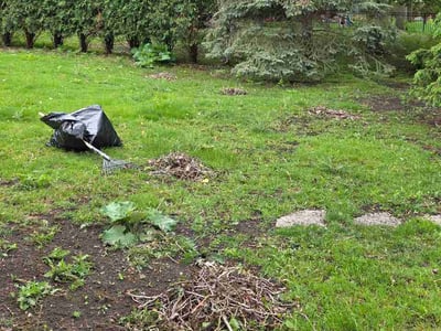 Leaf Removal service in Roseville, 55113