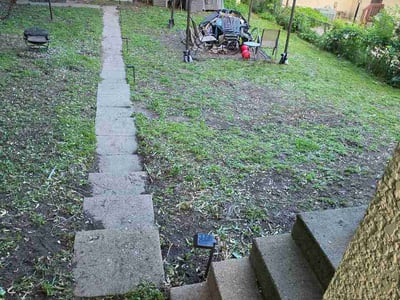 Leaf Removal service in Roseville, 55113