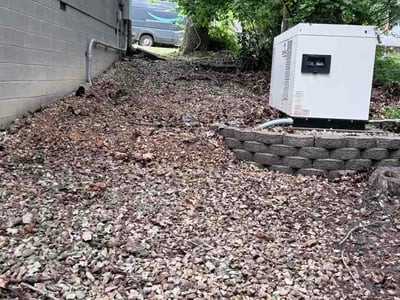 Leaf Removal service in Springdale, 72764