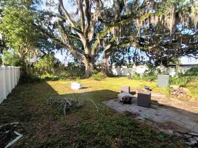 Leaf Removal service in Oviedo, 32765