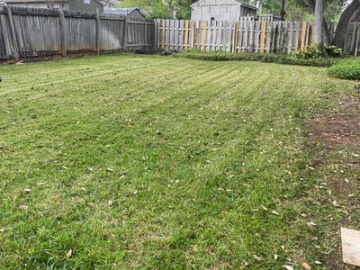 Lawn Care service in Middle Village, 11379