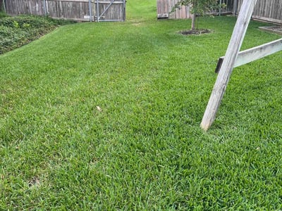 Lawn Care service in Temple, 76501