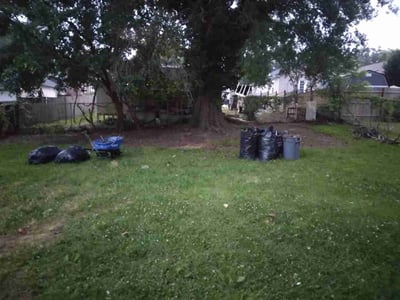 Leaf Removal service in Greenville, 27858