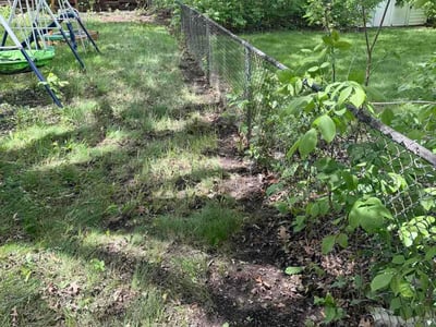 Leaf Removal service in Brooklyn Park, 55443
