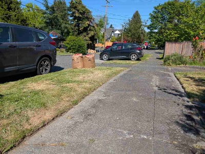Leaf Removal service in Bellevue, 98004