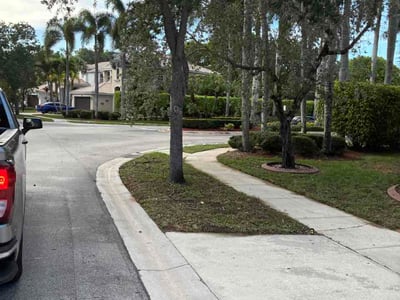 Leaf Removal service in DeLand, 32720