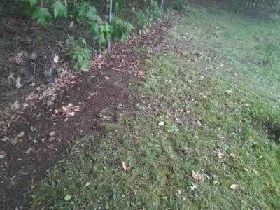 Leaf Removal service in Fairfield, 45014