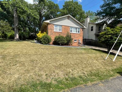 Leaf Removal service in Fredericksburg, 22401
