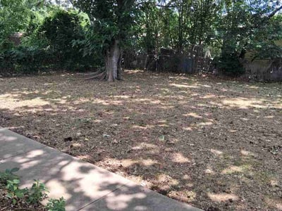 Leaf Removal service in Denton, 76201