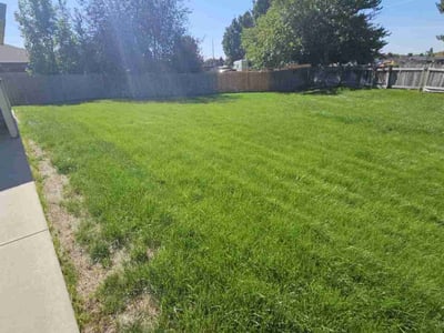 Lawn Care service in Boise, 83702