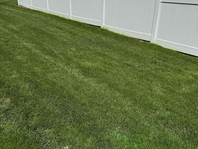 Lawn Care service in Urbana, 61801