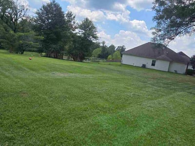 Lawn Care service in Foley, 36535