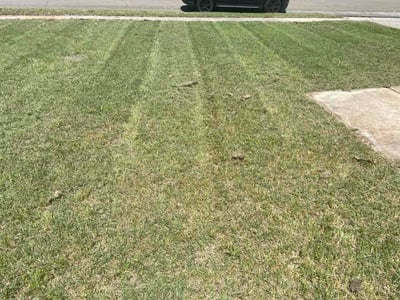 Lawn Care service in Paradise, 95969