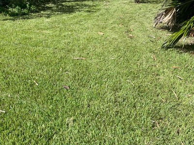 Lawn Care service in Port Orange, 32127