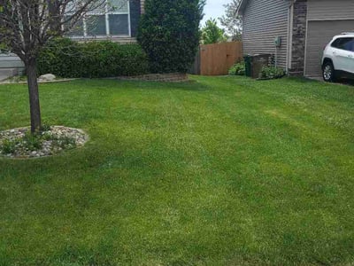 Lawn Care service in West Des Moines, 50315