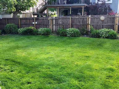 Lawn Care service in West Des Moines, 50315