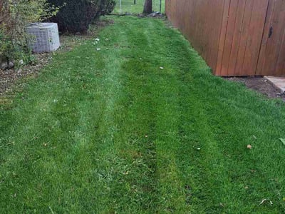 Lawn Care service in South Holland, 60473