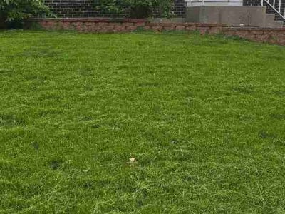 Lawn Care service in Palatine, 60074