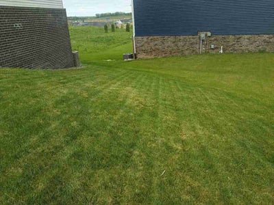 Lawn Care service in Milford, 48381