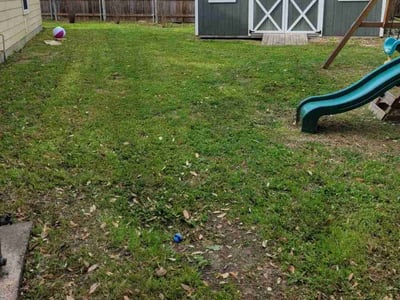 Lawn Care service in Seekonk, 02771