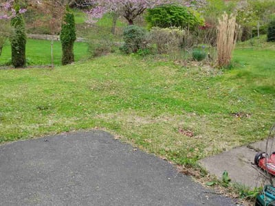 Lawn Care service in Carnegie, 15106