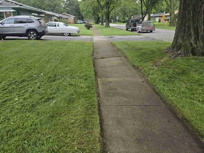 Lawn Care service in Wood Dale, 60191