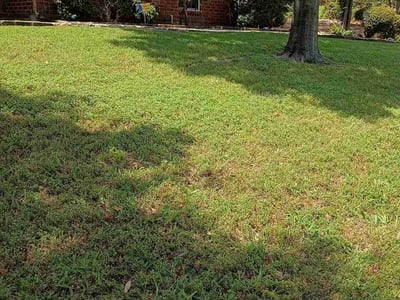 Lawn Care service in San Jacinto, 92583