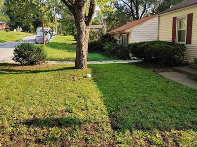 Lawn Care service in South Lake Tahoe, 96150